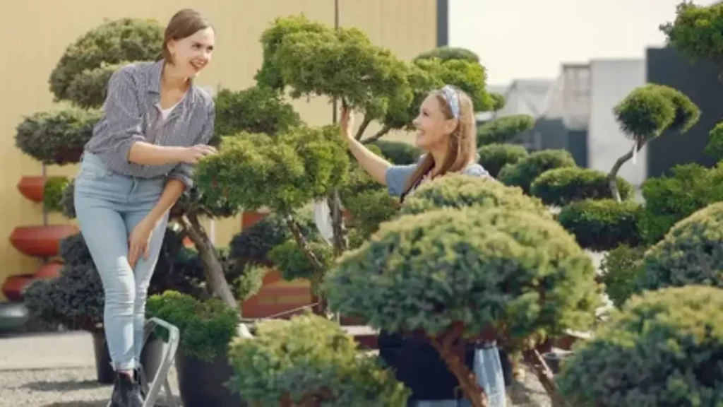 landscaping captions for instagram