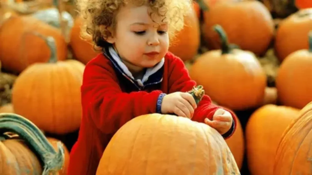 pumpkin captions for baby