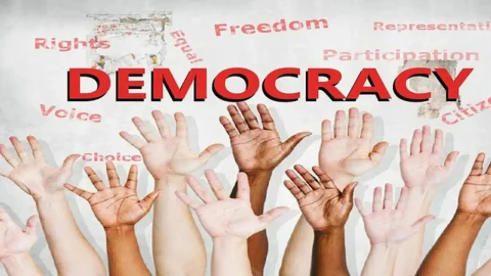 democratizing synonym