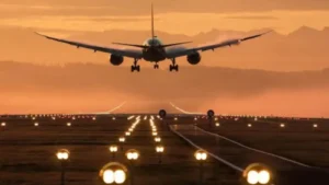 flight synonym